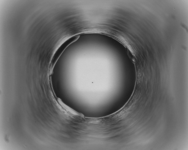 X0000096381484200802141420