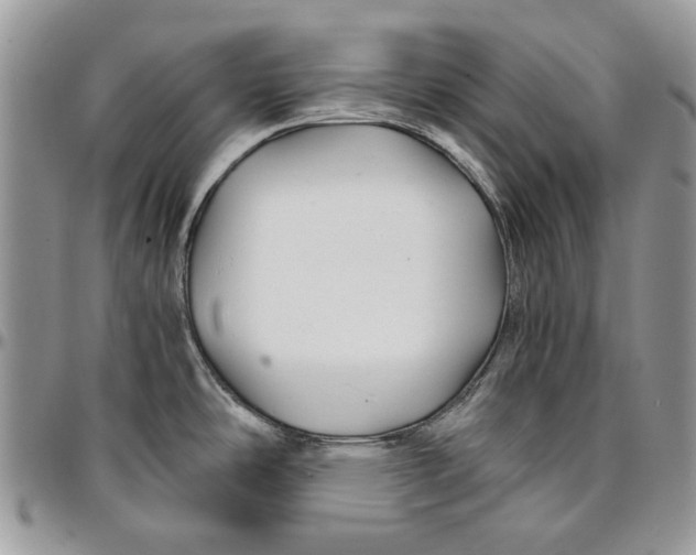 X0000096381486200802141419