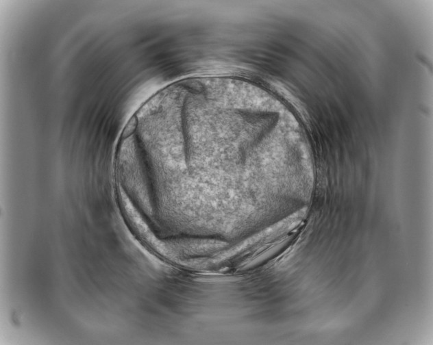 X0000096381487200802141419