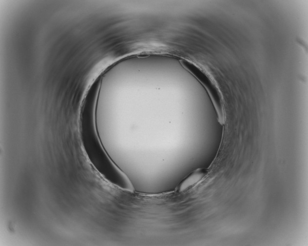 X0000096381488200802141419