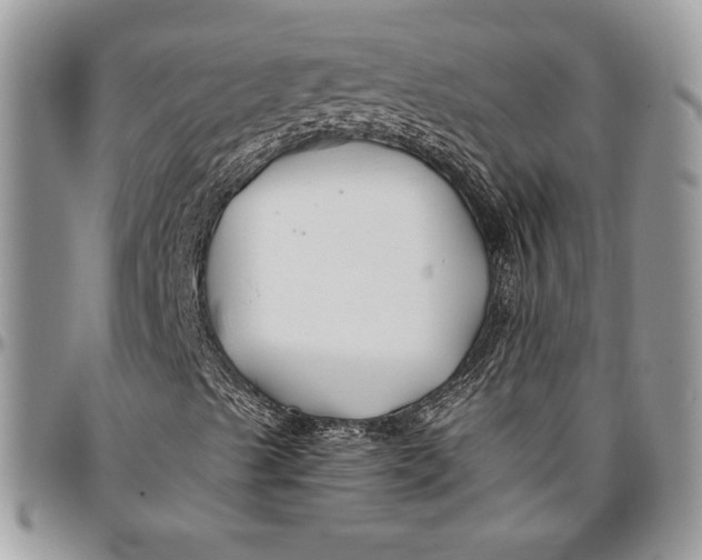 X0000096381489200802141419