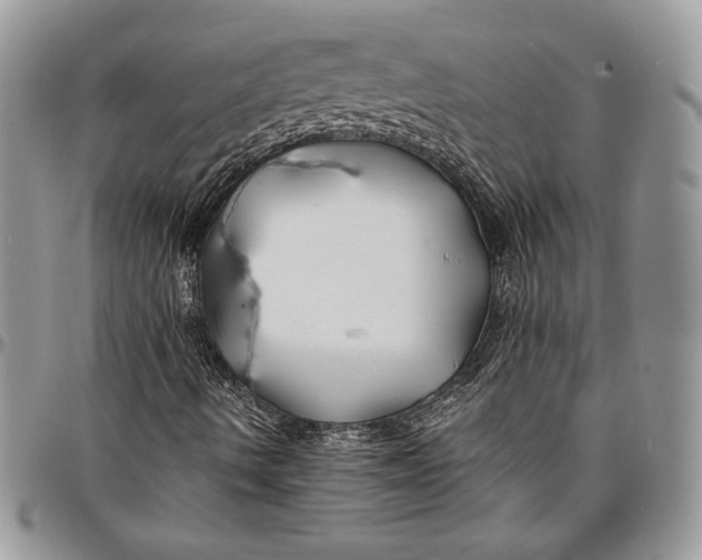 X0000096381490200802141419