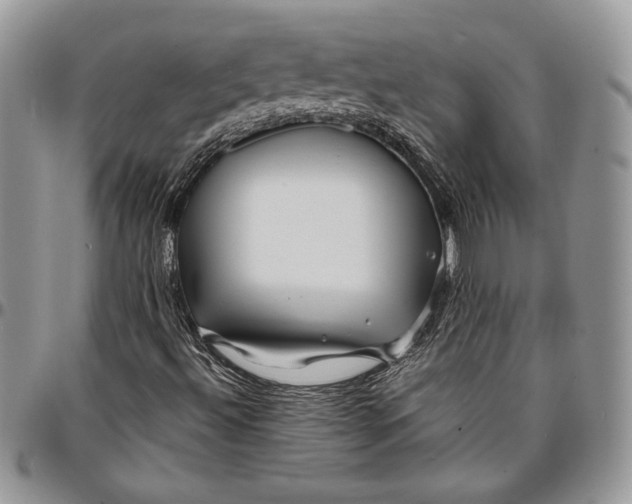 X0000096381492200802141419