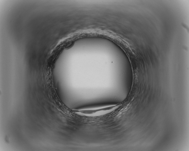 X0000096381494200802141419