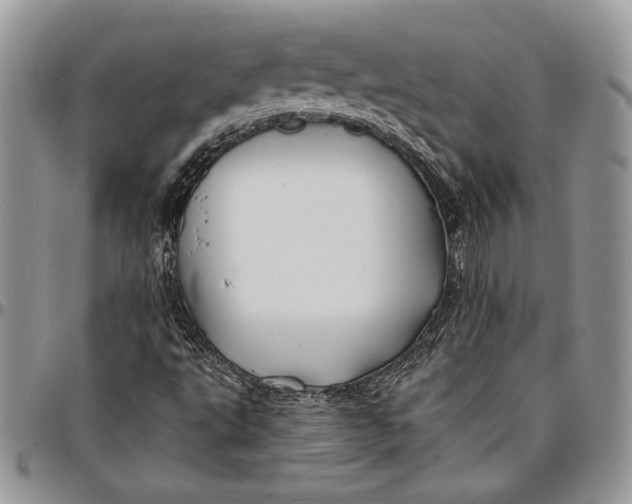 X0000096381495200802141419