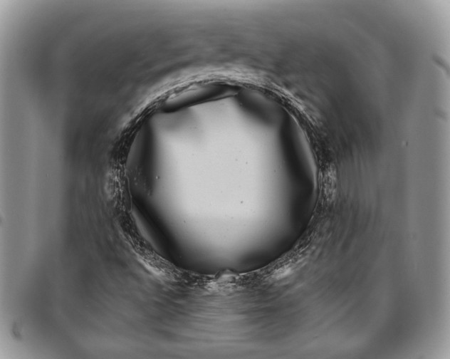 X0000096381496200802141419