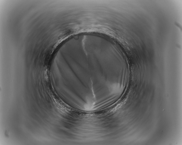 X0000096381497200802141419