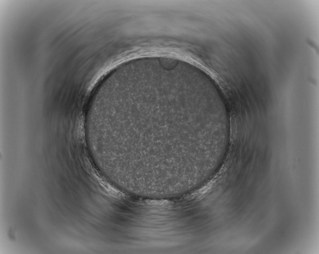 X0000096381498200802141419