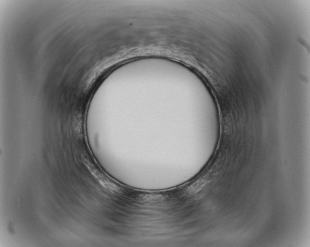 X0000096381499200802141419