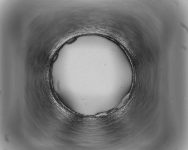 X0000096381500200802141419