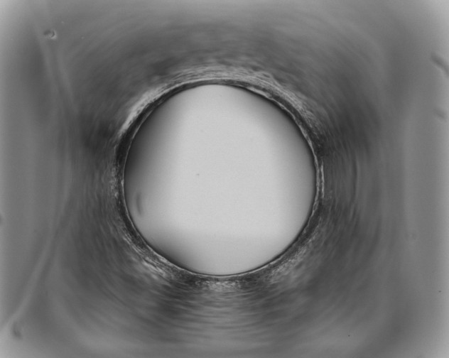 X0000096381501200802141419