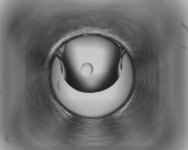 X0000096381502200802141419