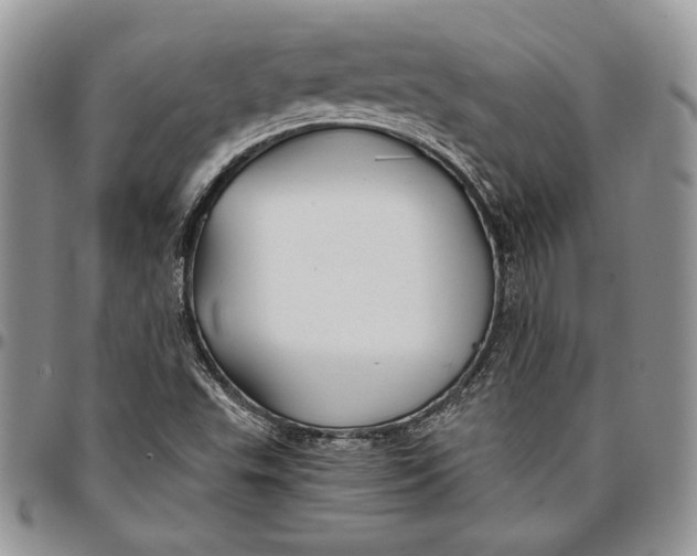 X0000096381503200802141419