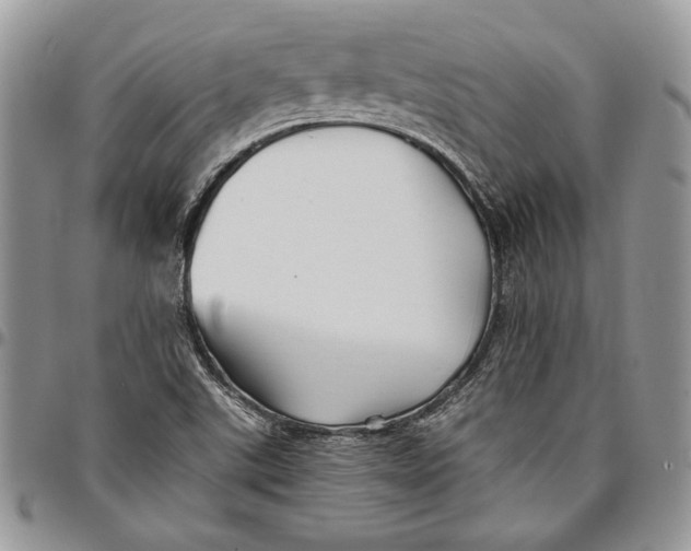 X0000096381507200802141419