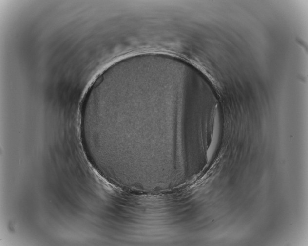 X0000096381508200802141419