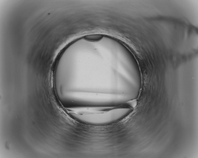 X0000096381510200802141419