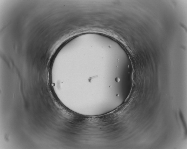 X0000096381511200802141419