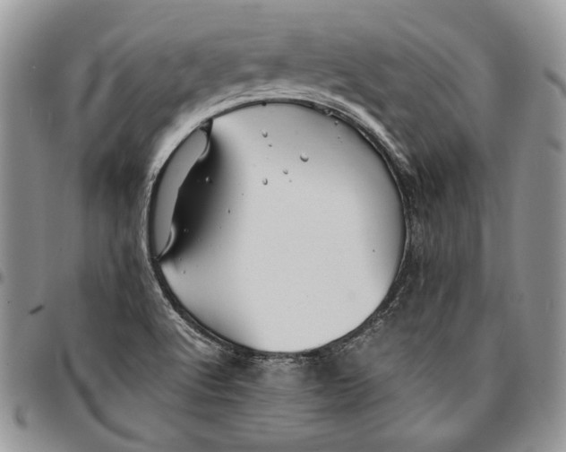 X0000096381512200802141419