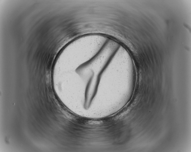 X0000096381513200802141419