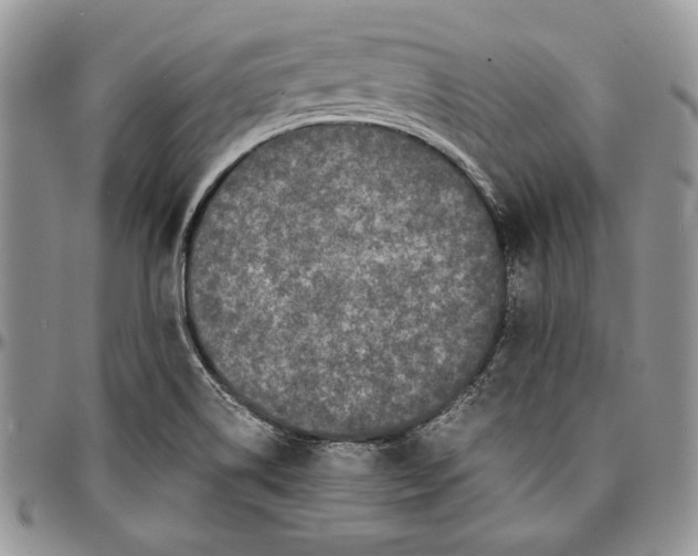 X0000096381514200802141419