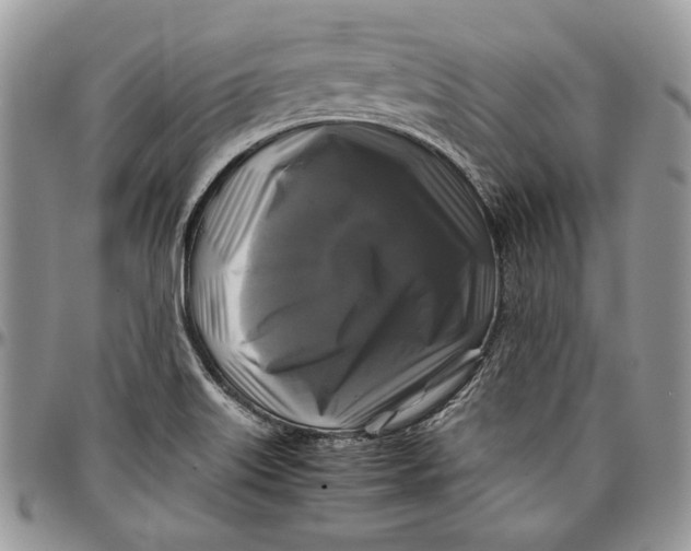 X0000096381515200802141419