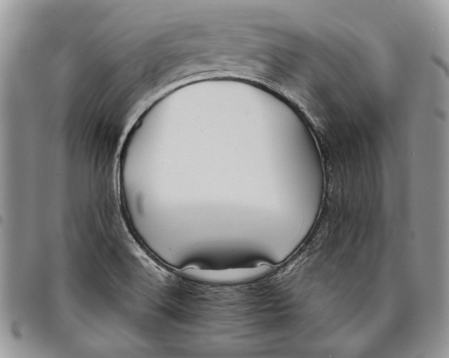 X0000096381516200802141419