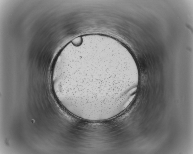 X0000096381517200802141419