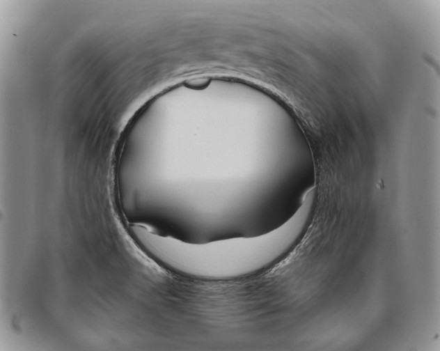 X0000096381518200802141419