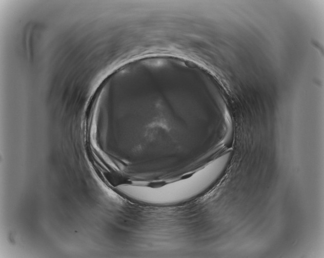 X0000096381519200802141419