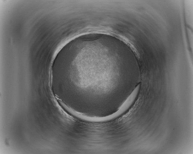 X0000096381520200802141419