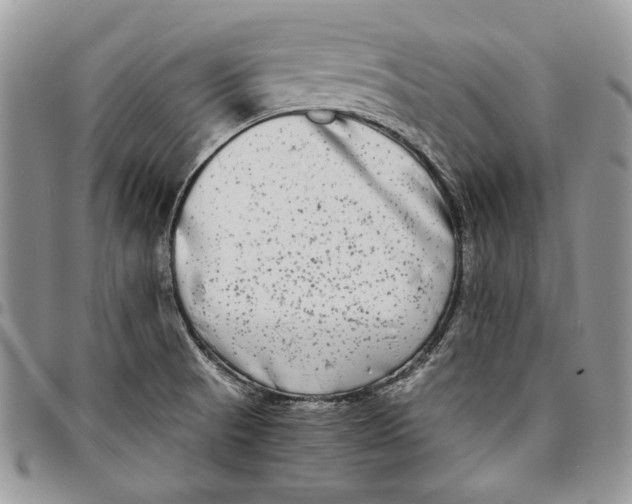 X0000096381521200802141419