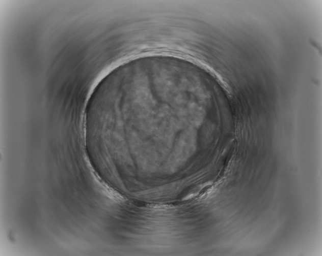 X0000096381522200802141419