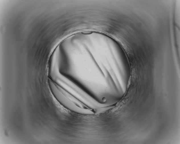 X0000096381524200802141419