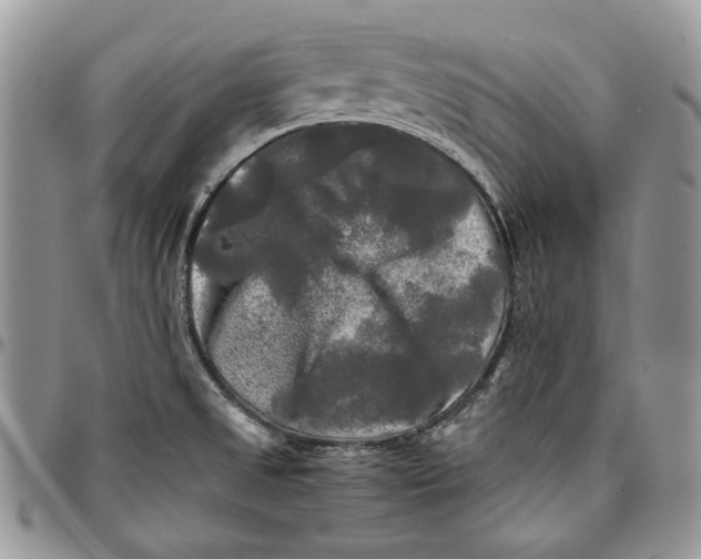 X0000096381525200802141419