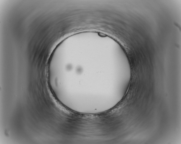 X0000096381526200802141419