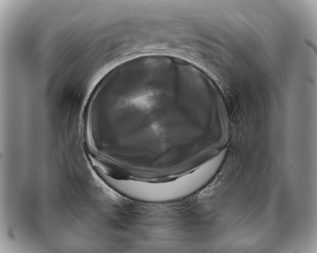 X0000096381527200802141419