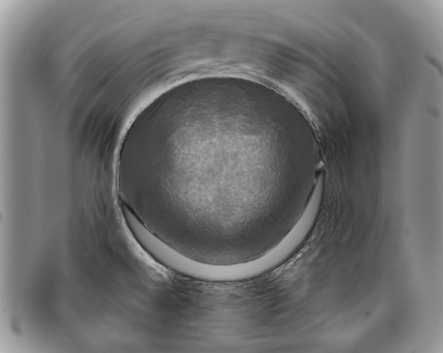 X0000096381528200802141419