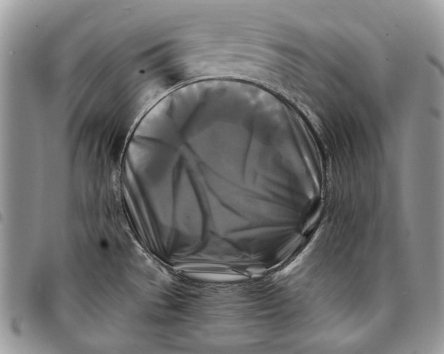 X0000096381529200802141419