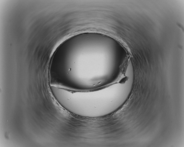 X0000096381530200802141419