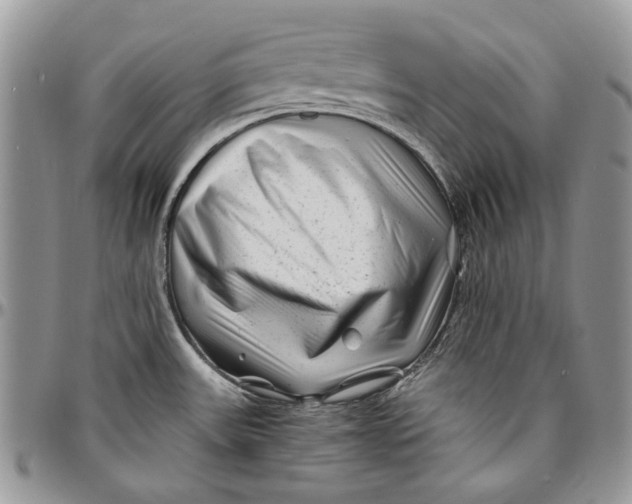 X0000096381531200802141419