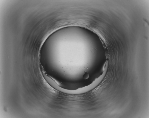 X0000096381532200802141419