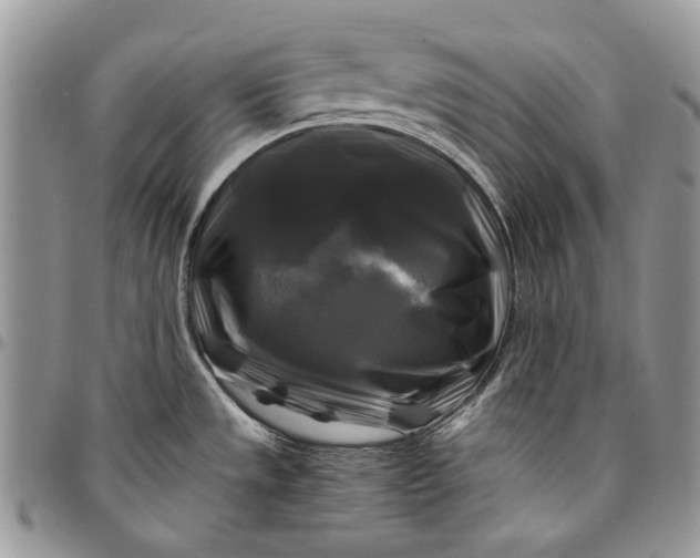 X0000096381533200802141419