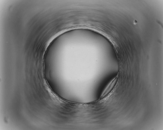 X0000096381534200802141419