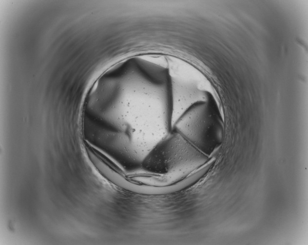 X0000096381536200802141419