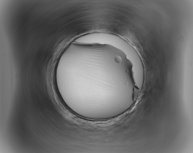 X0000096380001200802211130