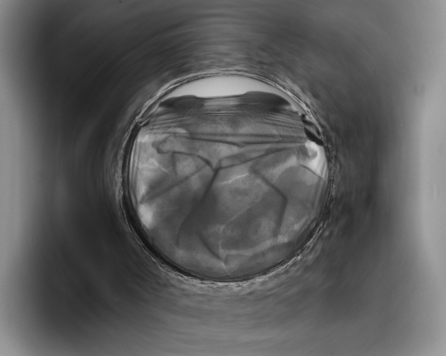 X0000096380002200802211130