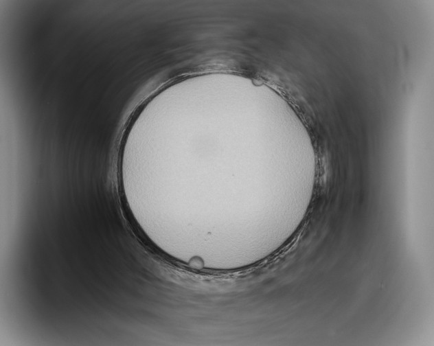 X0000096380004200802211130