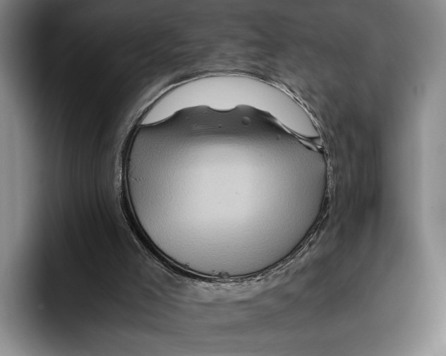 X0000096380005200802211130