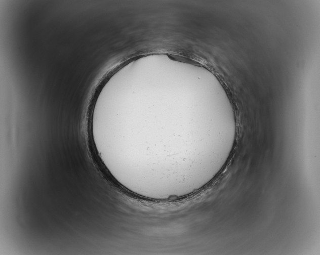 X0000096380006200802211130