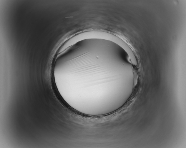 X0000096380007200802211130